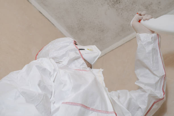 Best Commercial Mold Removal  in Northport, AL