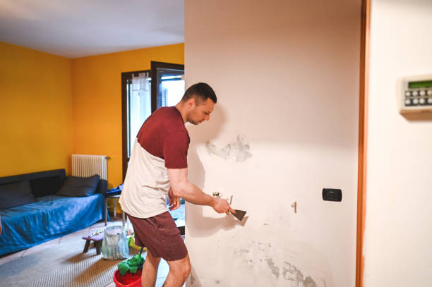 Best Mold Damage Repair  in Northport, AL